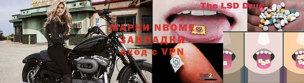 прущие грибы Приозерск