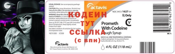 прущие грибы Приозерск