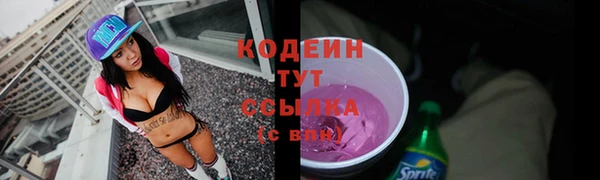прущие грибы Приозерск