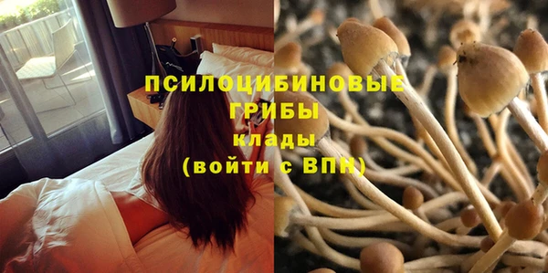 ешки Каменка